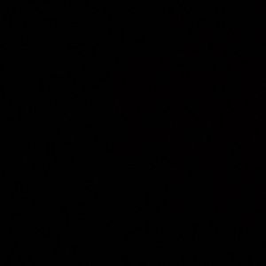 Meet your Posher, Samara